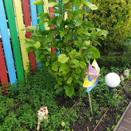 Mirana Family Hotel 3*